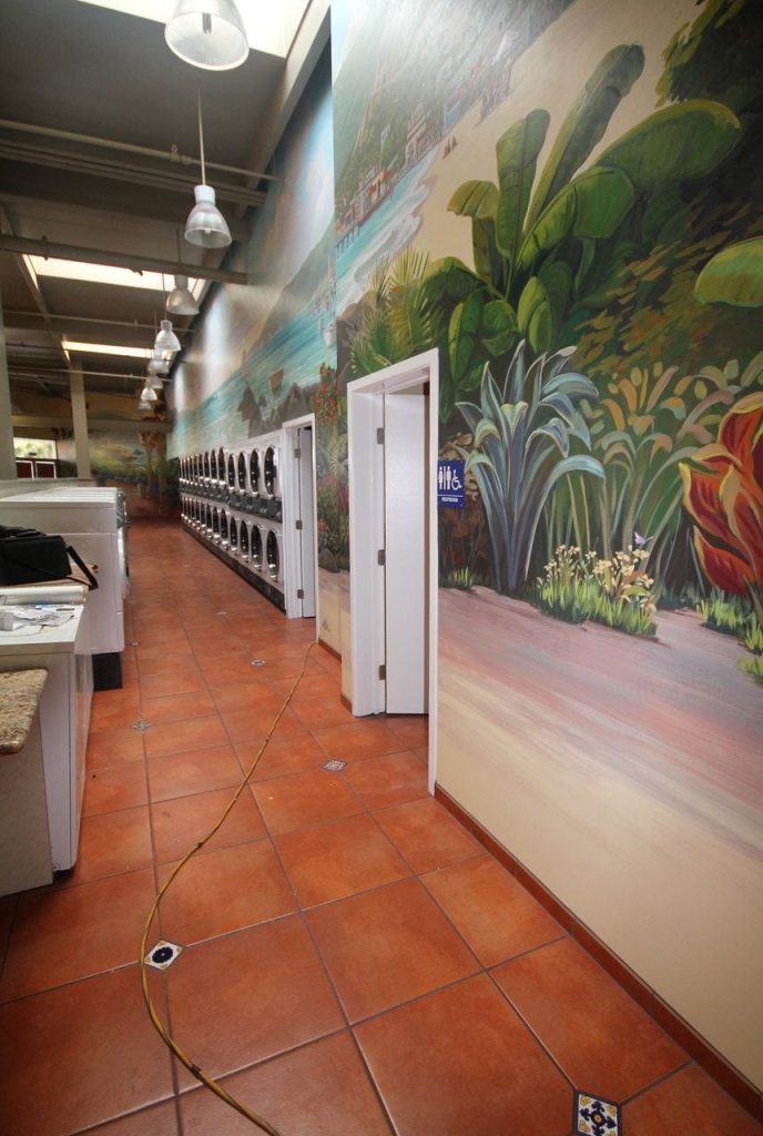 Tropical Landscape Mural in San Jose Laundry