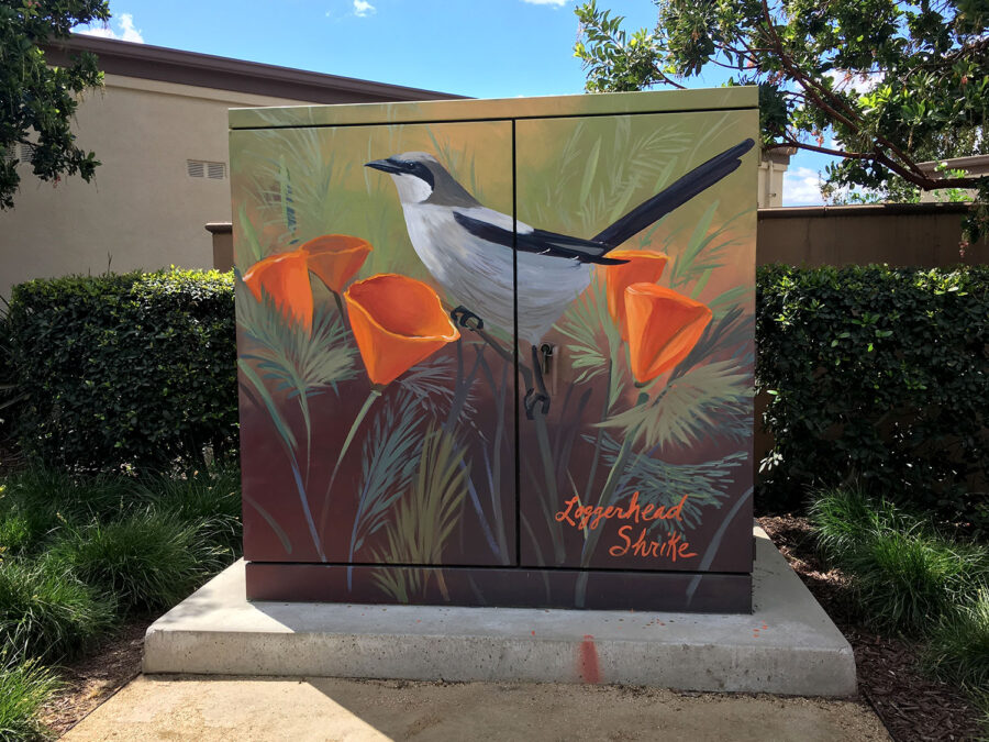 Utility Box Art with Birds - Loggerhead Shrike Painting