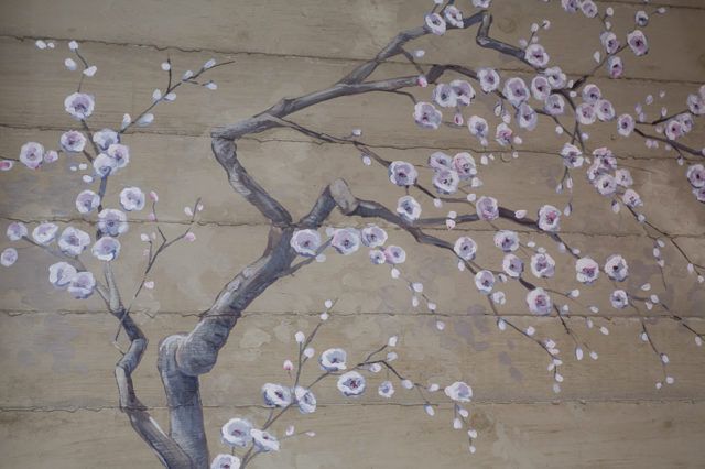 White Cherry Blossoms Mural for Japanese Restaurant in San Francisco