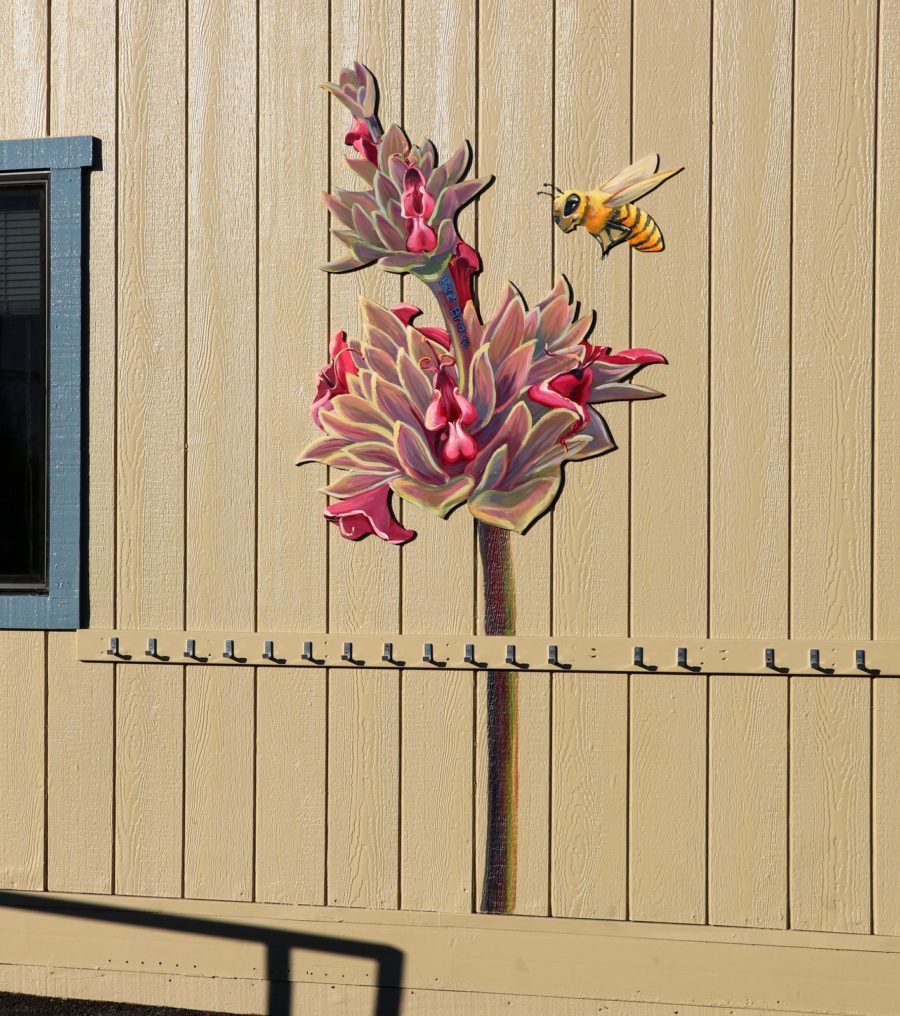 Bee Mural with Hummingbird Sage in California