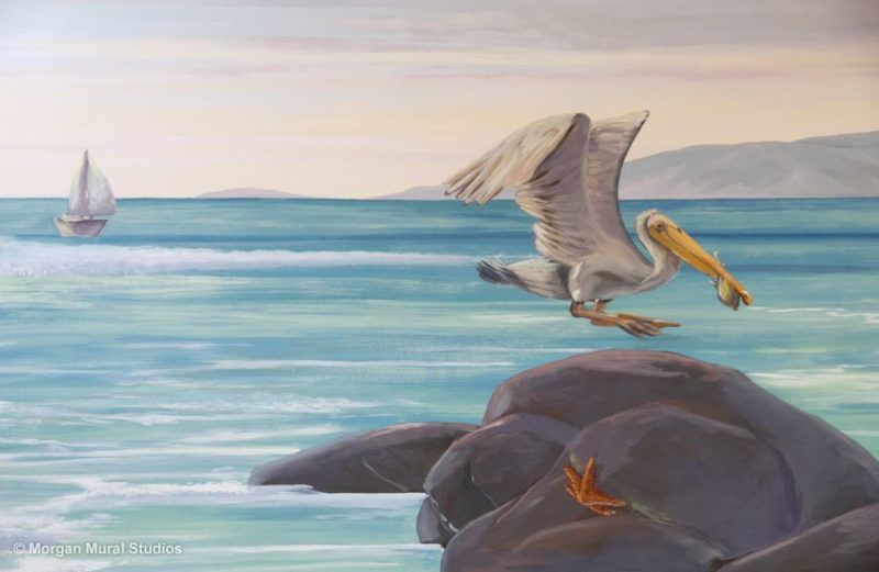 Ocean Pelican Mural with Starfish in San Jose, California