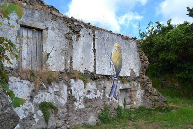 Canary mural on a ruin wall, Ilha das Flores, Azores, Portugal