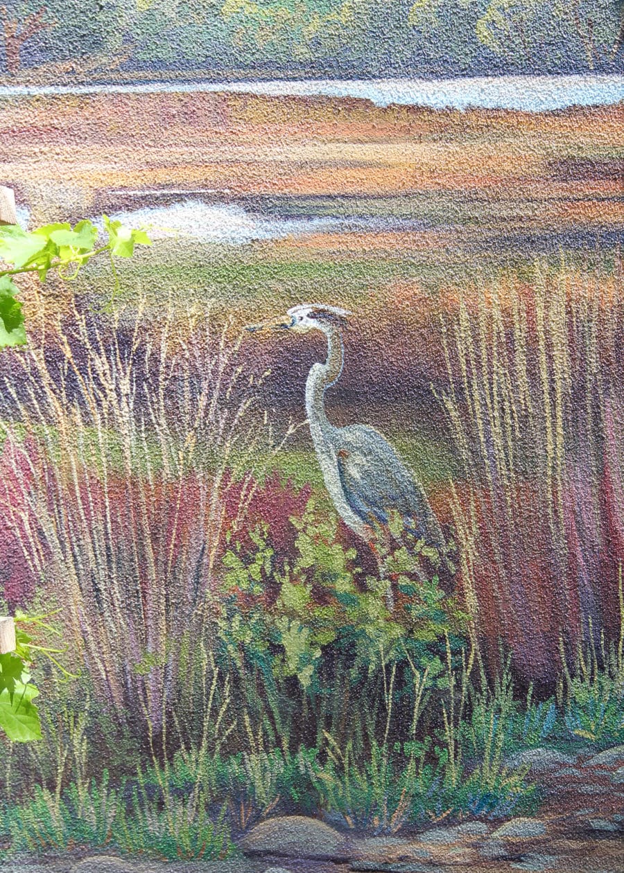 Blue Heron Mural Painting in California