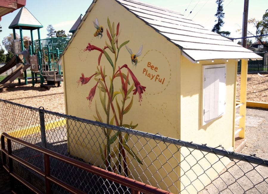 Small California Mural with Fuschia Flowers