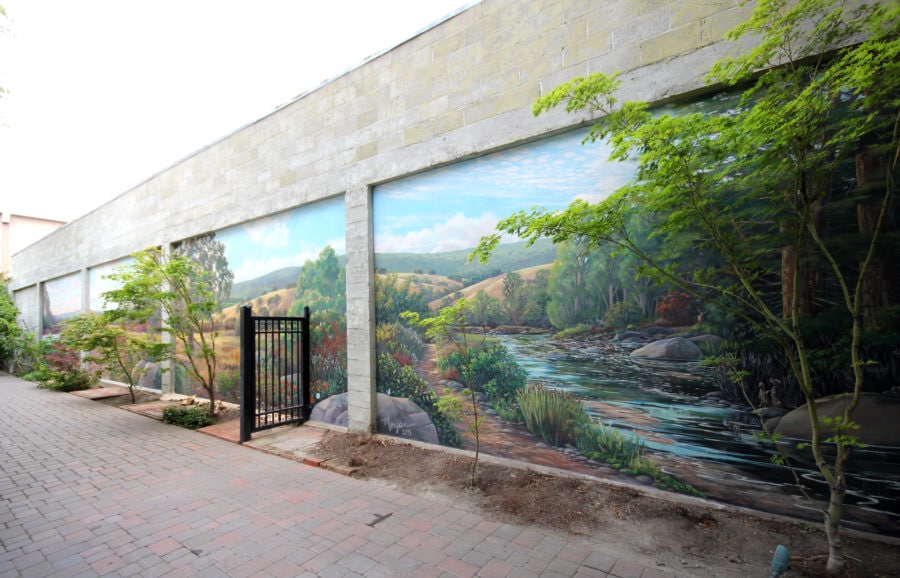 Beautification Project with Home Mural
