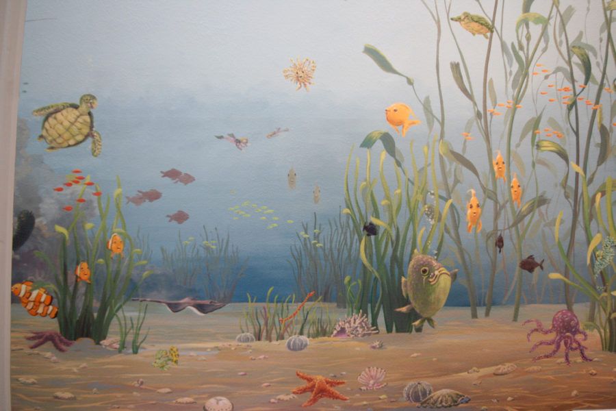 Ocean Floor Sea Life Mural