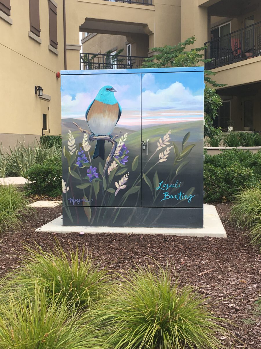 Utility Box Art with Birds - Lazuli Bunting Painting