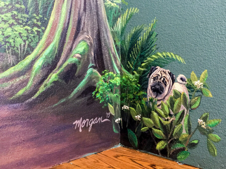 Custom Pug Painting for California House Mural