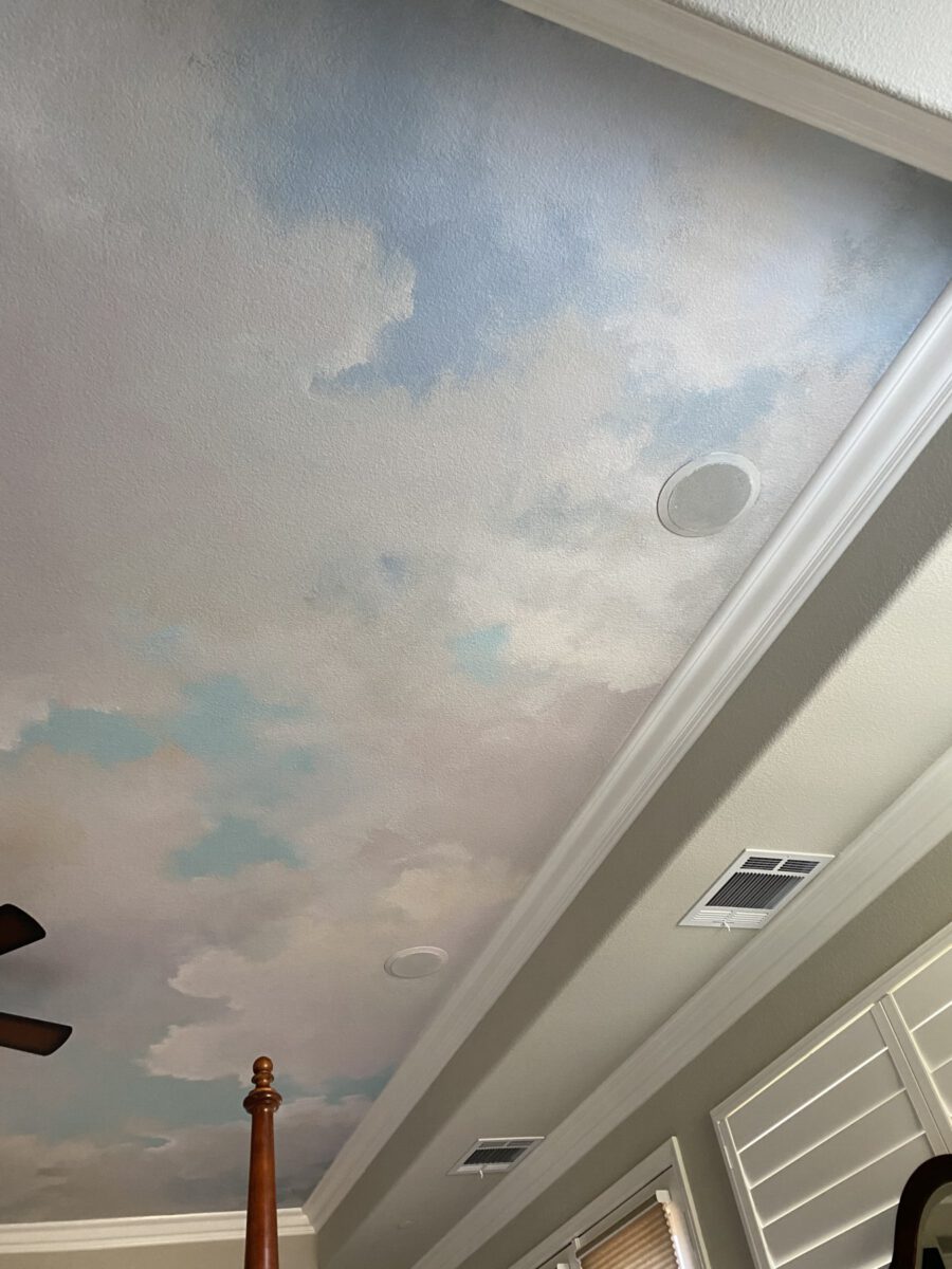 Cloud Closeups for Ceiling Painting in Sacramento House
