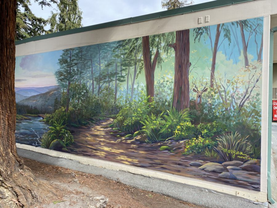 Deer in Forest Mural Painting at Palo Alto School