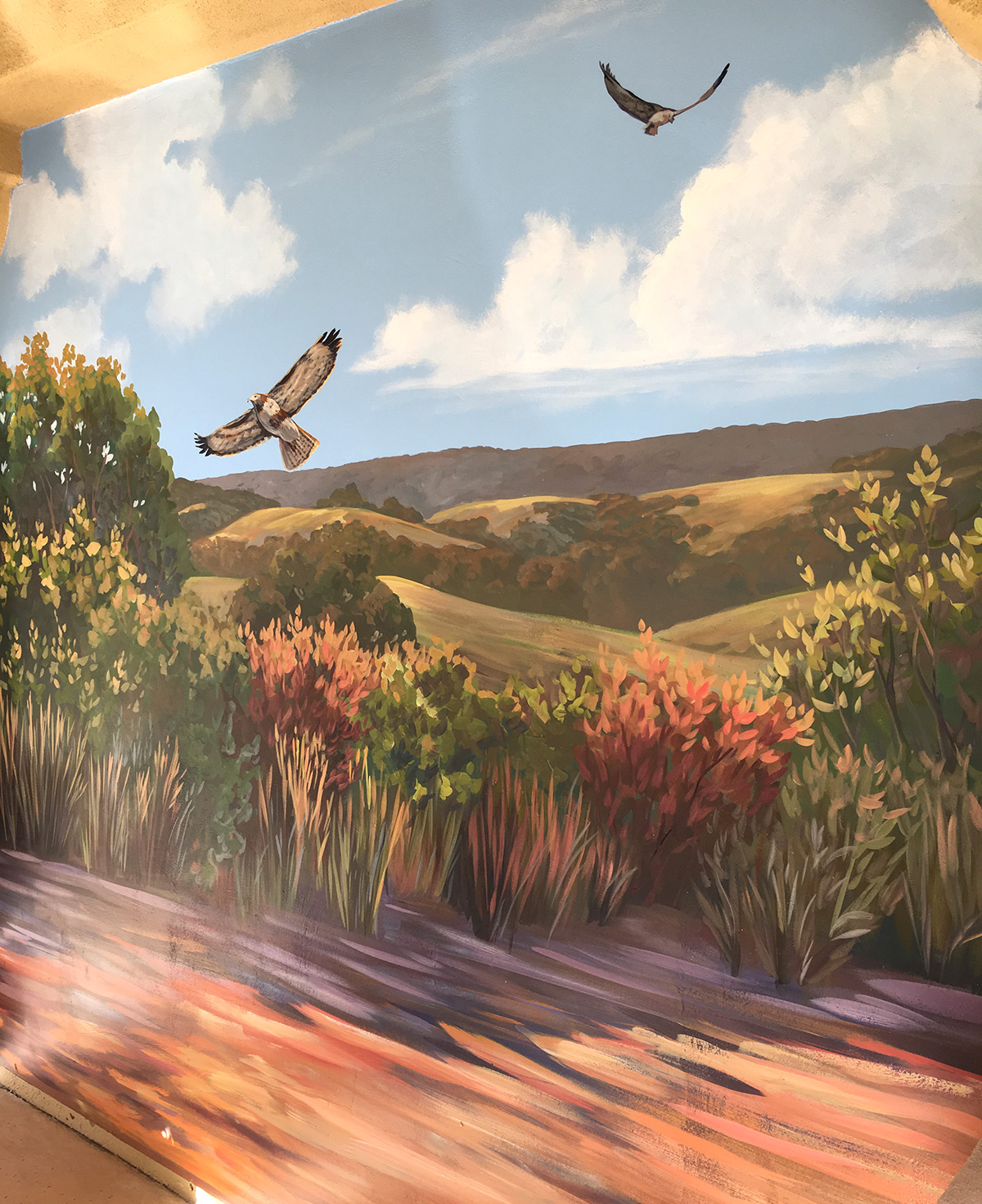 Birds of Prey Mural Painting with Cloudy Sky