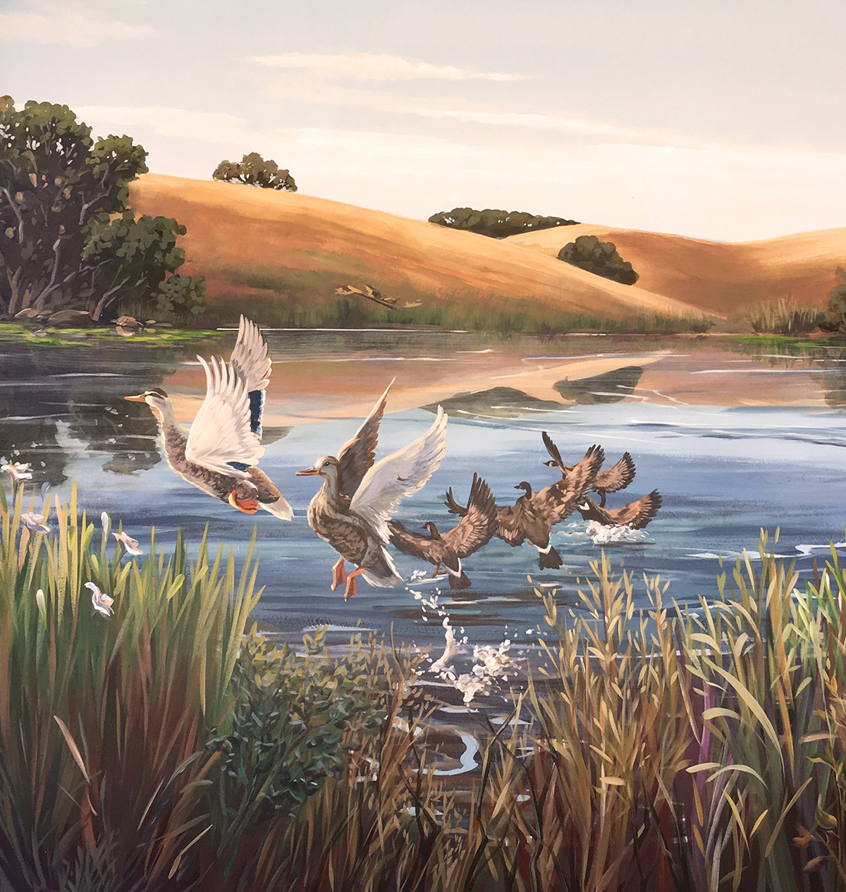 Ducks Take Flight Mural with Water and Golden Hills