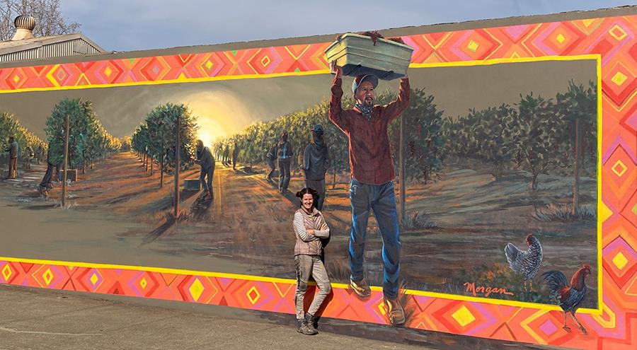 vNapa Farmworker Picking Wine Grapes in the Vineyard by Muralist Morgan Bricca