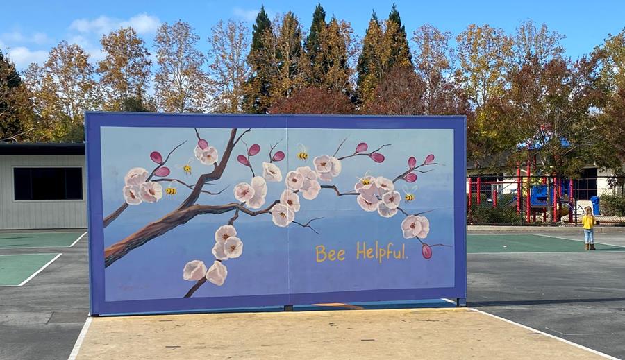 Blossom Hill Ball Wall 2B Cherry Blossoms 9900000000079e3c