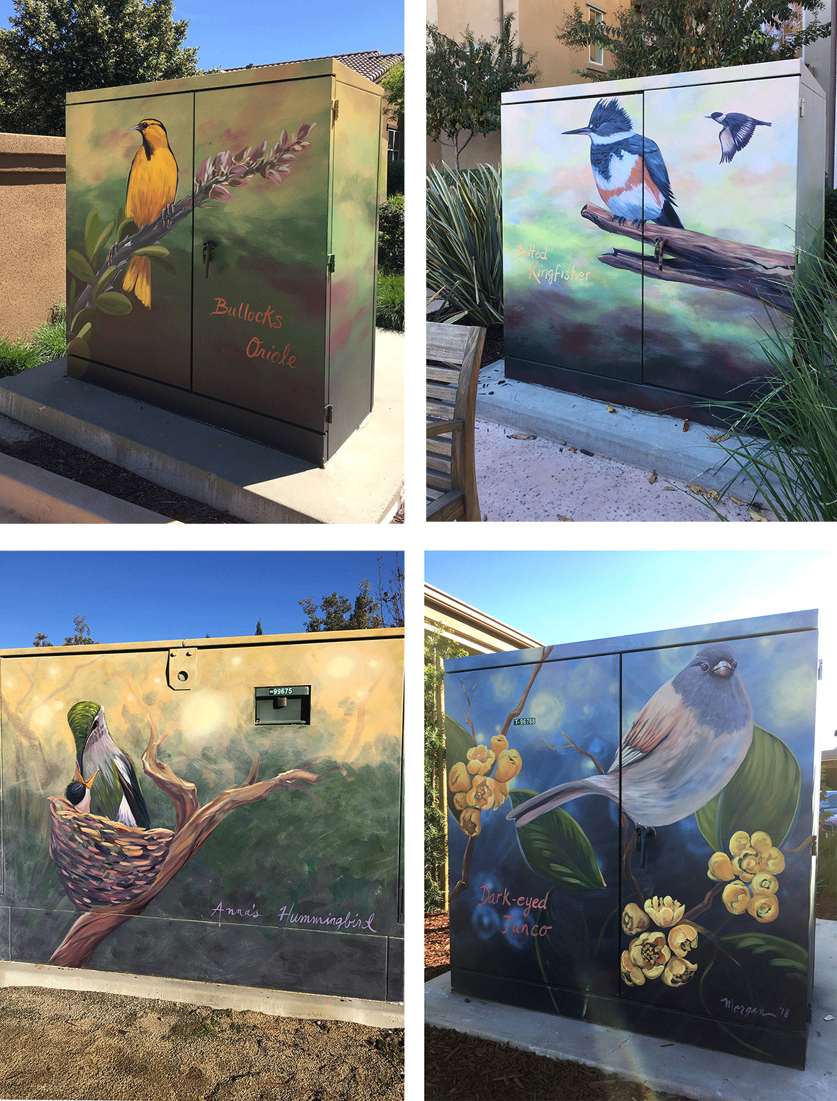 Mini Bird Murals Painted by Artist Morgan Bricca