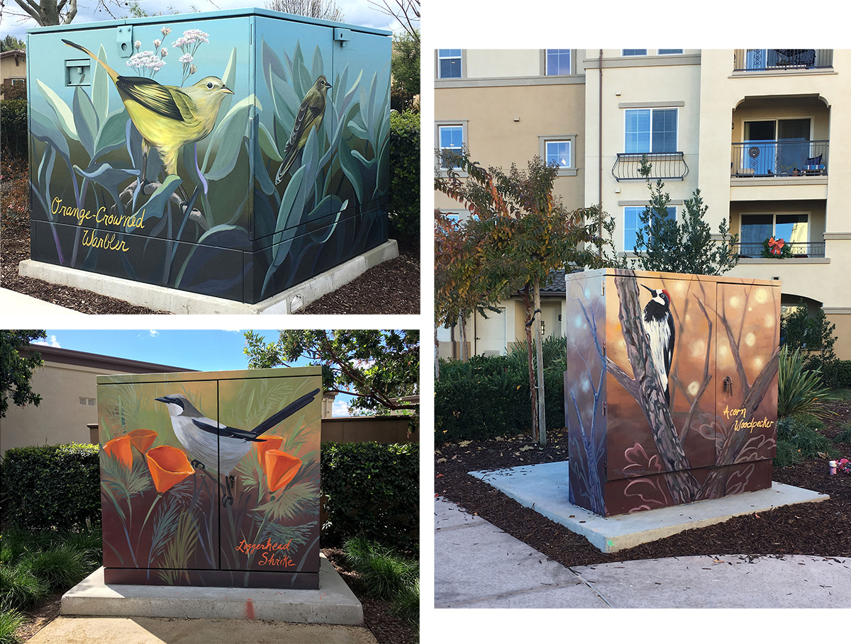 Utility Box Art with Bird Murals for Pleasanton Neighborhood Beautification