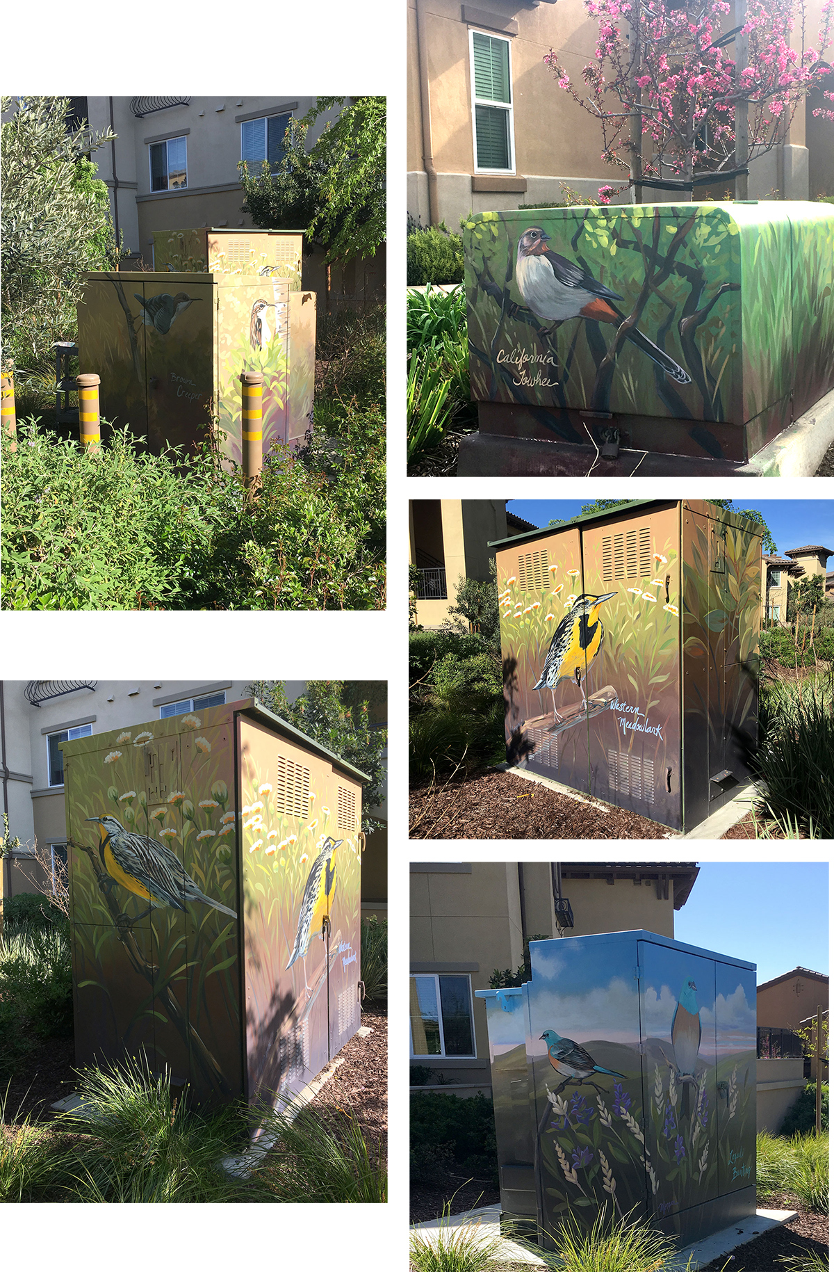 Even More Birds in Nature Painted on Residential Area Power Boxes