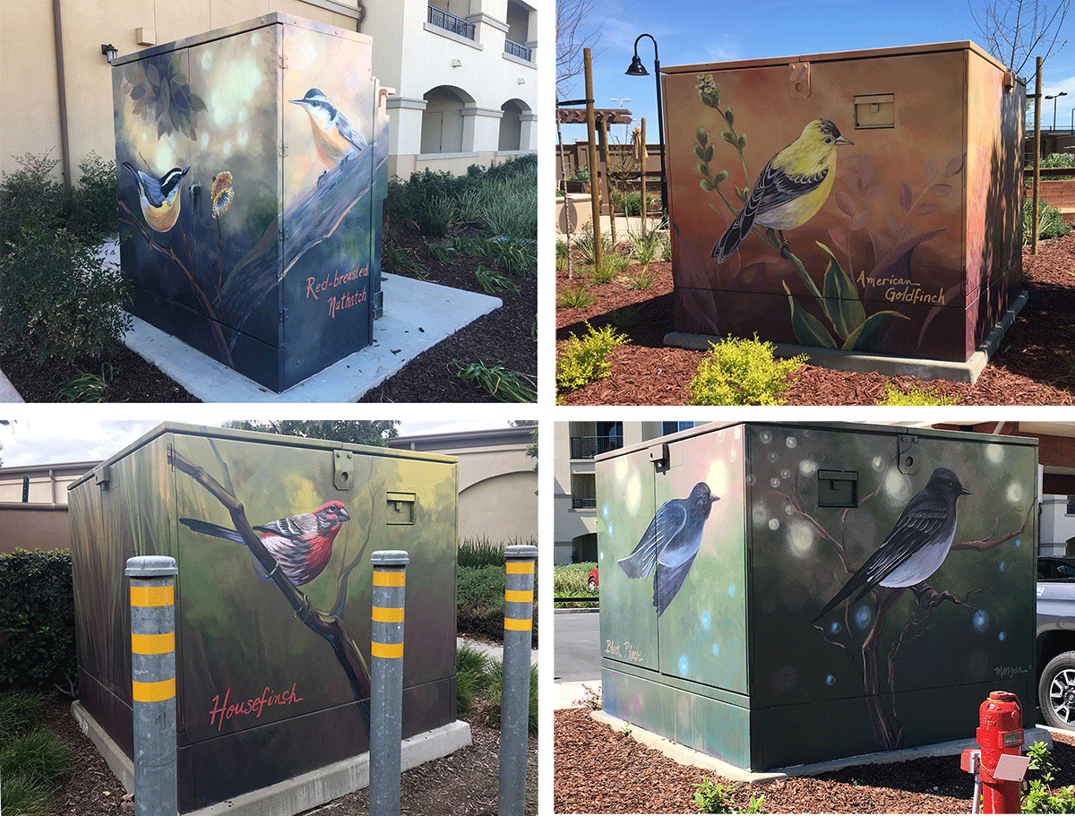 Neighborhood Beautification Murals with Bird Art on Electrical Boxes