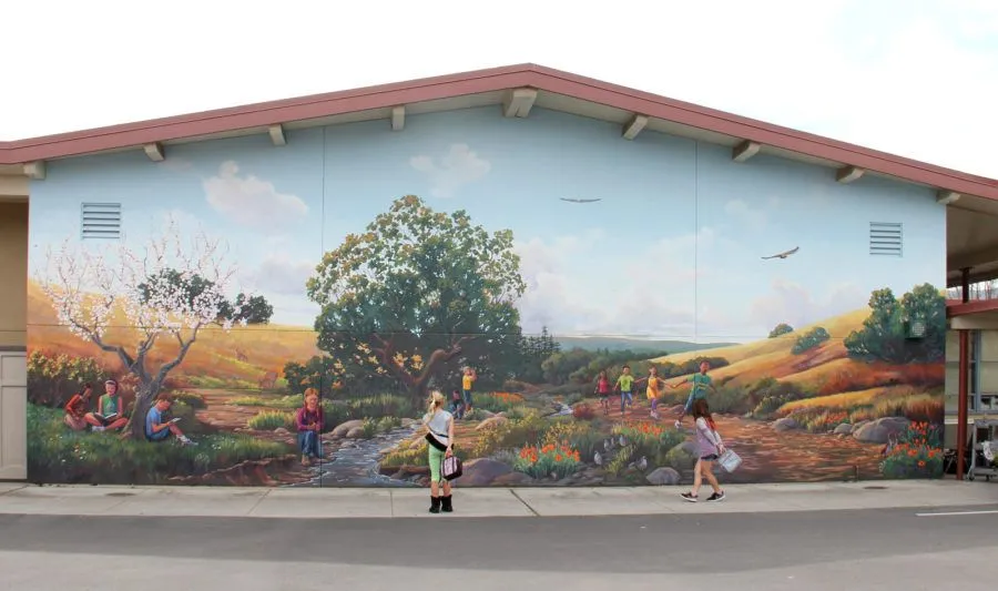 Residential Mural in Burligame, CA