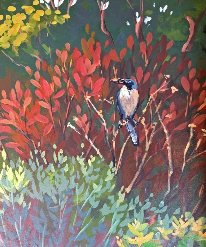 Bushes and blue jay mural