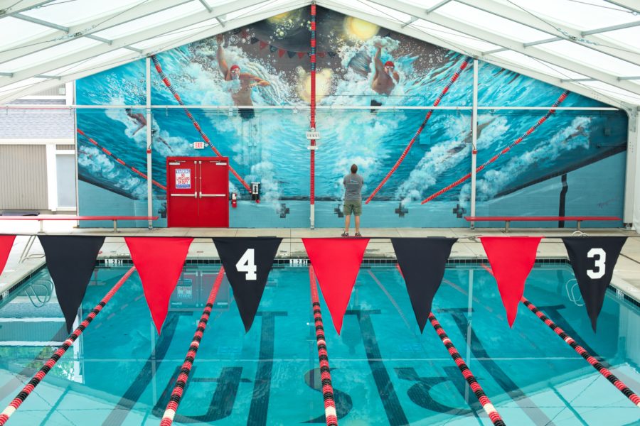 Olympic Mural with Competitive Swimmers Doing The Freestyle Stroke