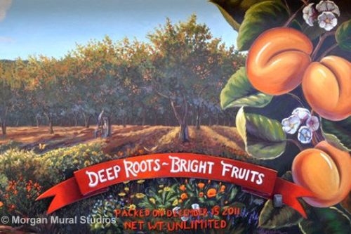 Los Altos Orchard Mural for Santa Rita – Deep Roots Bright Fruits