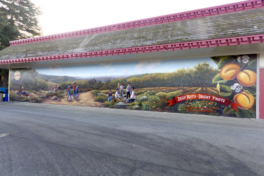 Long Orchard Mural Painting at Santa Rita Elementary School in Los Altos