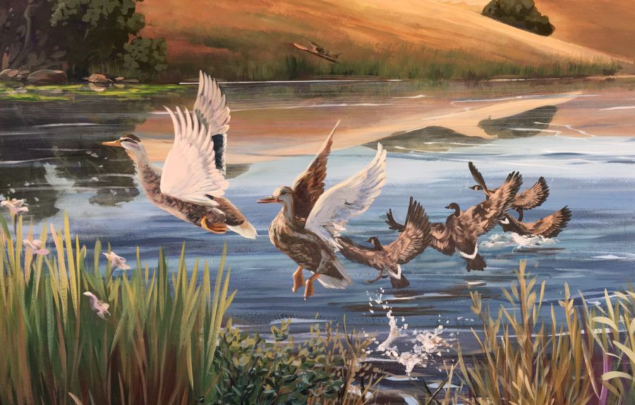 Wall mural with painted ducks and geese