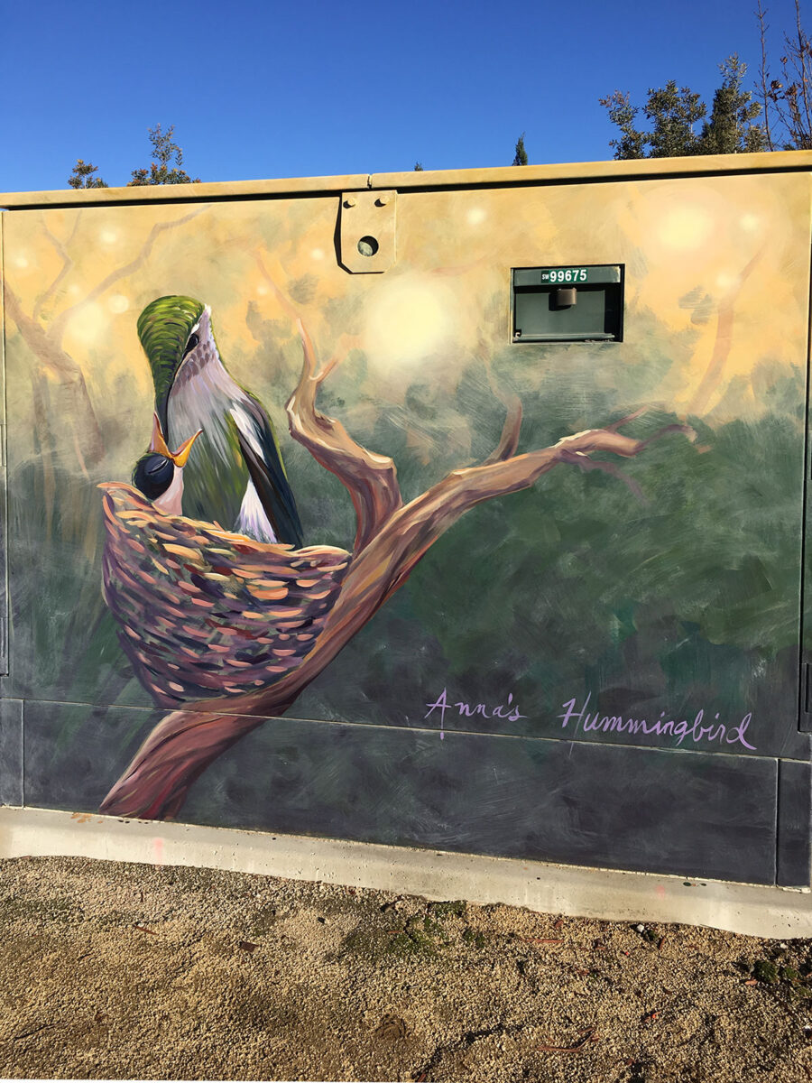 Utility Box Art with Birds - Anna's Hummingbird Painting