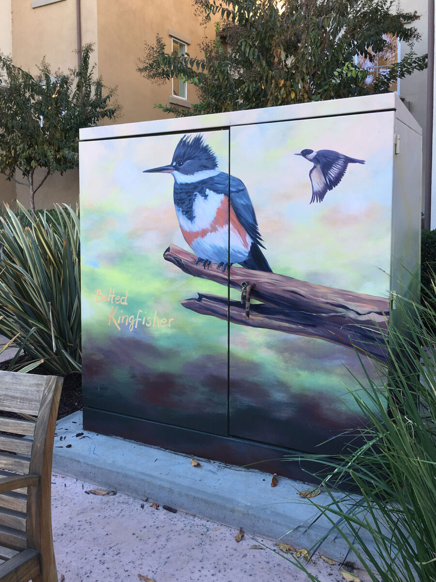 Utility Box Art with Birds - Belted Kingfisher Painting