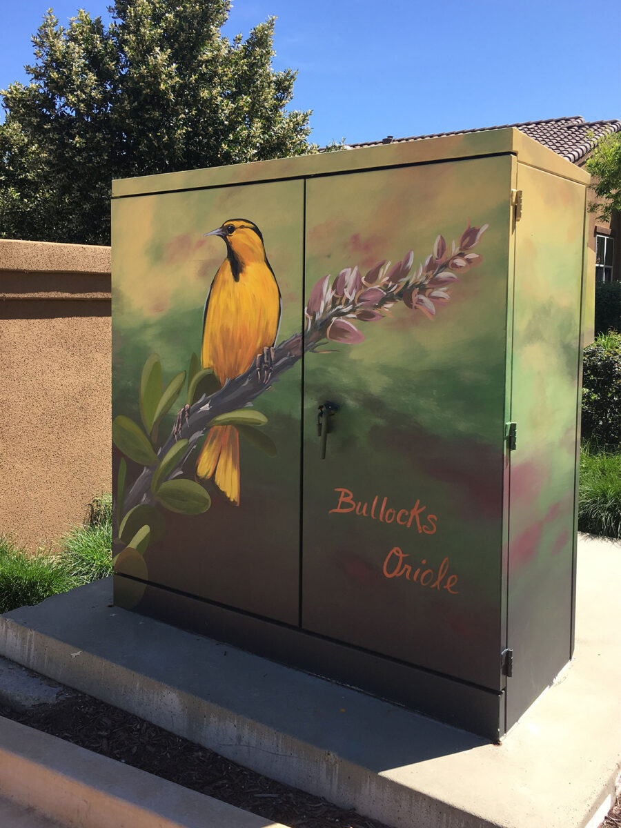 Utility Box Art with Birds - Bullocks Oriole Painting