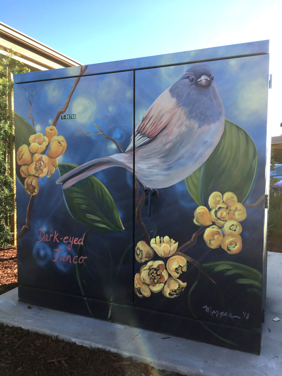 Utility Box Art with Birds - Dark-eyed Junco Painting