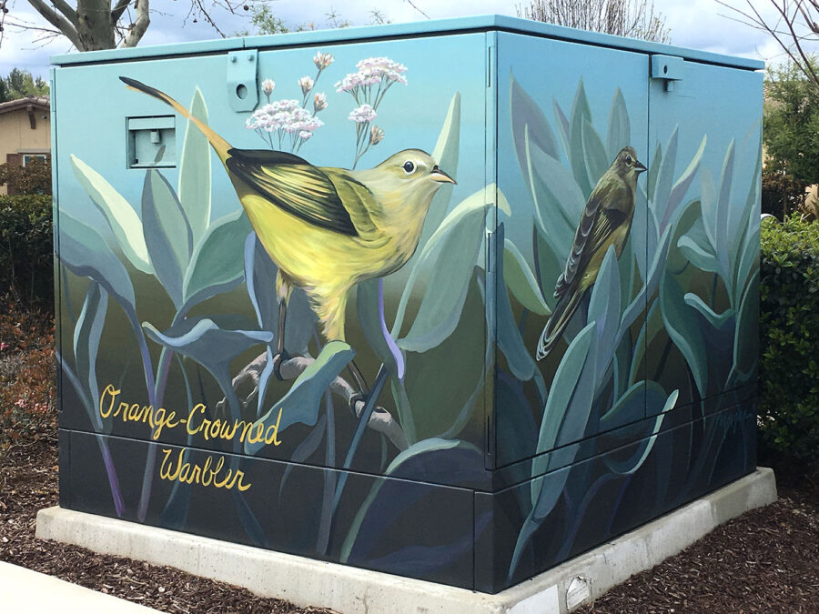 Utility Box Art with Birds - Orange-crowned Warbler Painting