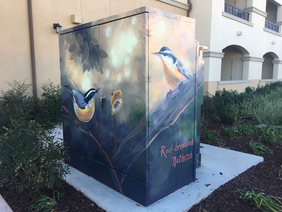 Utility Box Art with Birds - Red-breasted Nuthatch Painting