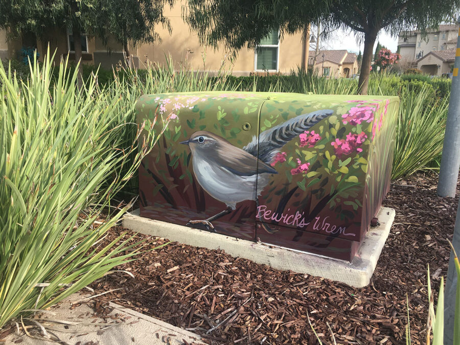 Utility Box Art with Birds - Bewick's Wren Painting