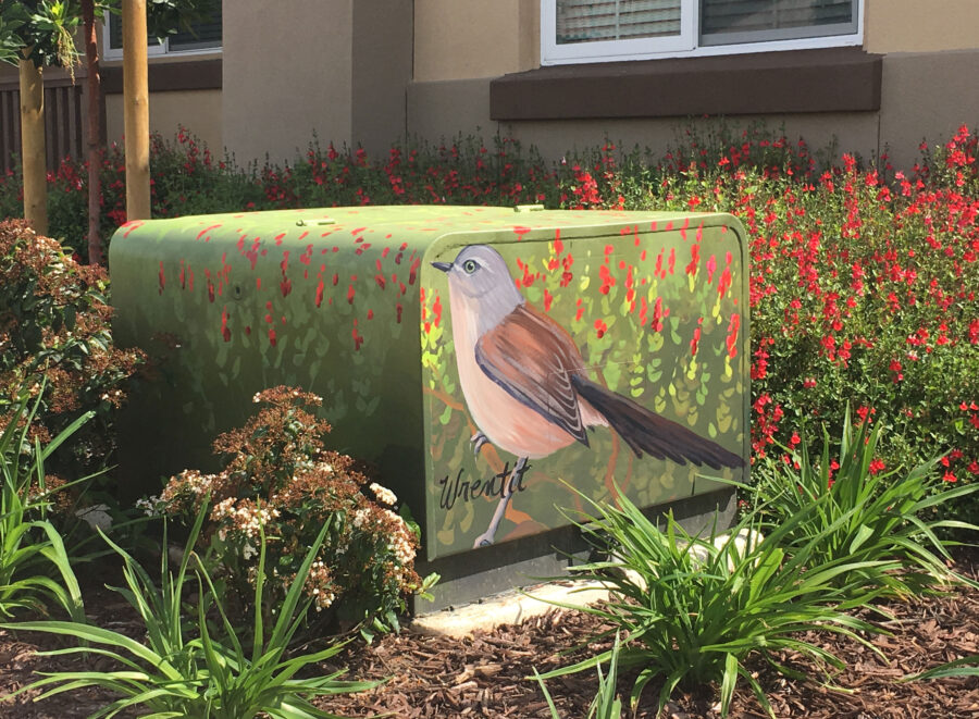 Utility Box Art with Birds - Wrentit Painting