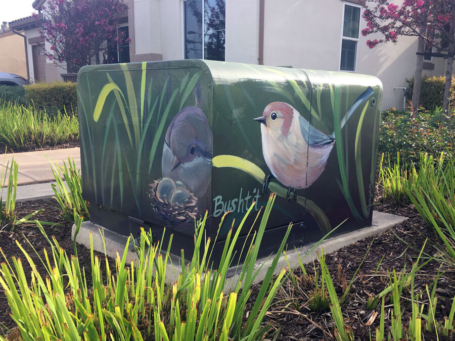 Utility Box Art with Birds - Bushtit Painting