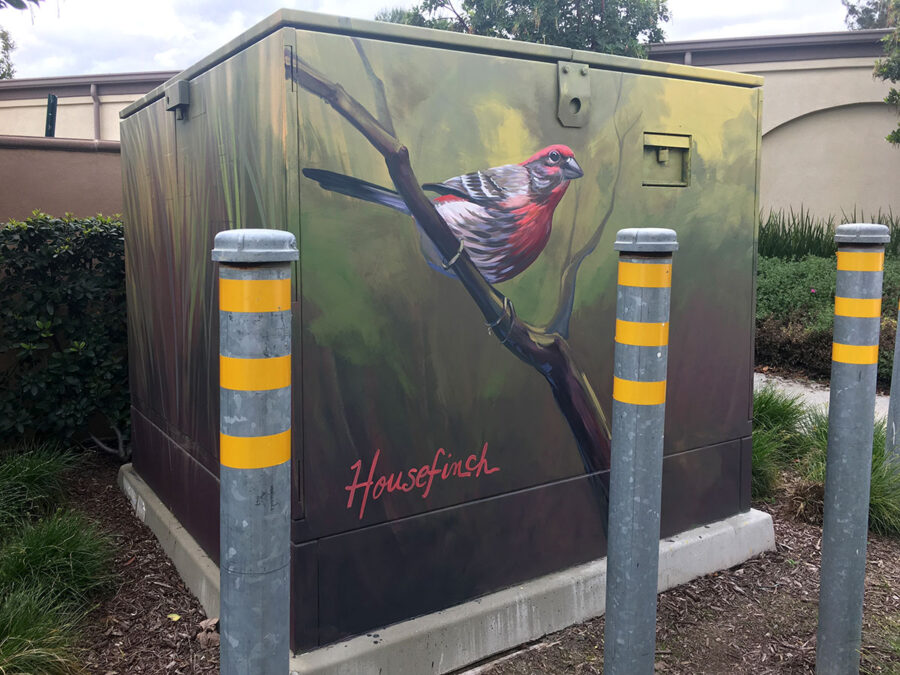 Utility Box Art with Birds - Housefinch Painting