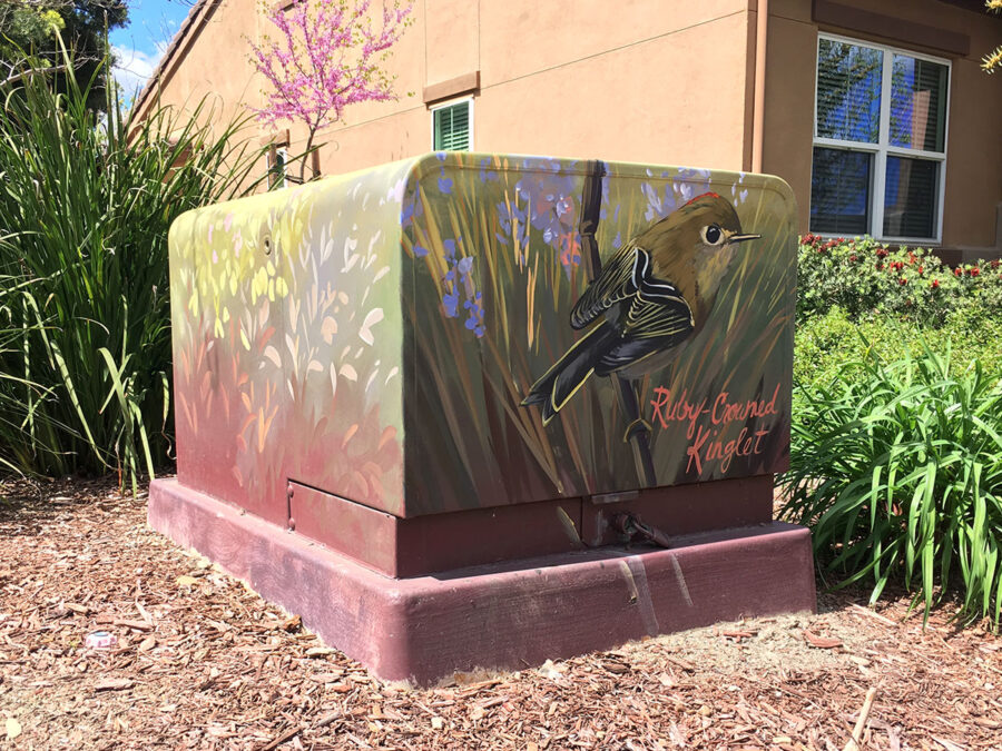 Utility Box Art with Birds - Ruby-crowned Kinglet Painting