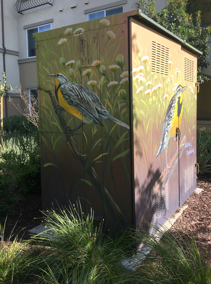 Utility Box Art with Birds