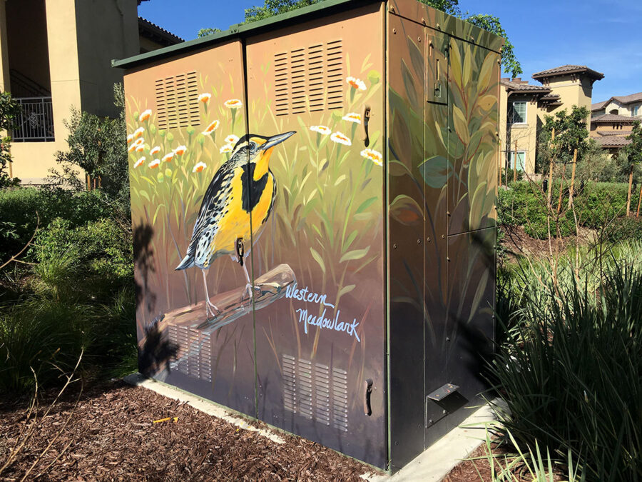 Utility Box Art with Birds - Western Meadowlark Painting
