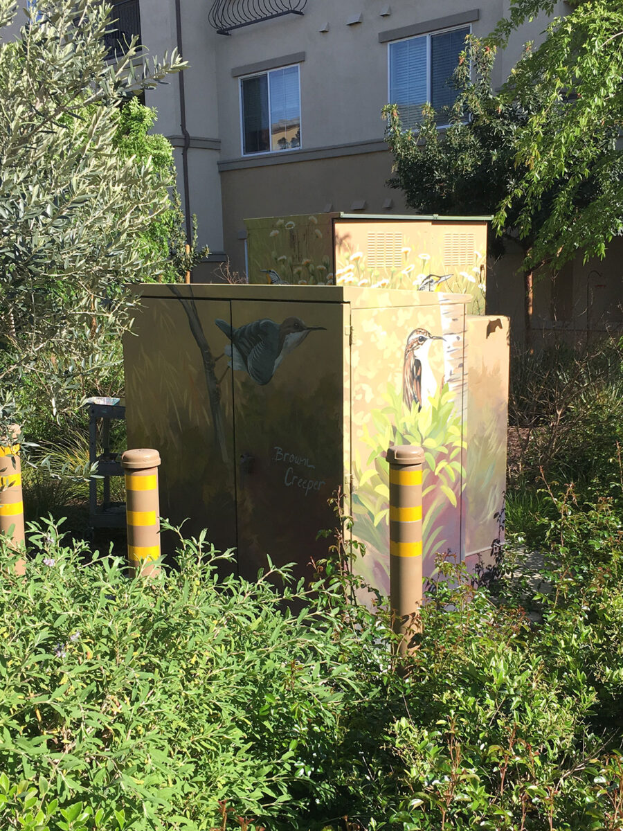 Utility Box Art with Birds - Brown Creeper Bird Painting