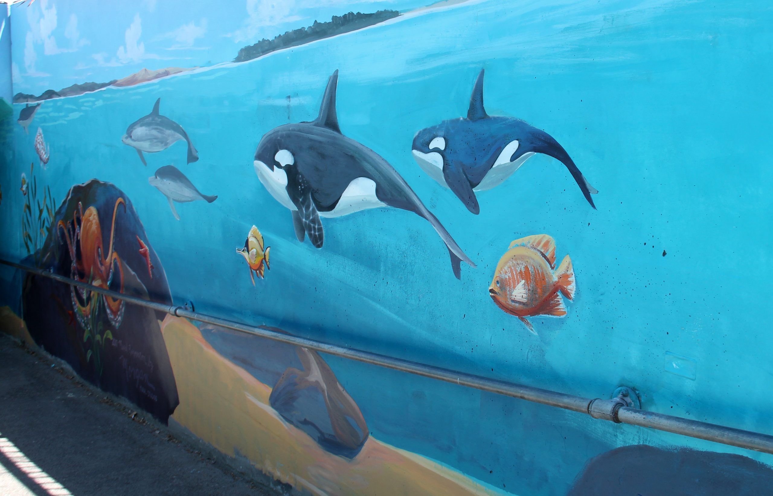 Killer whale mural in California