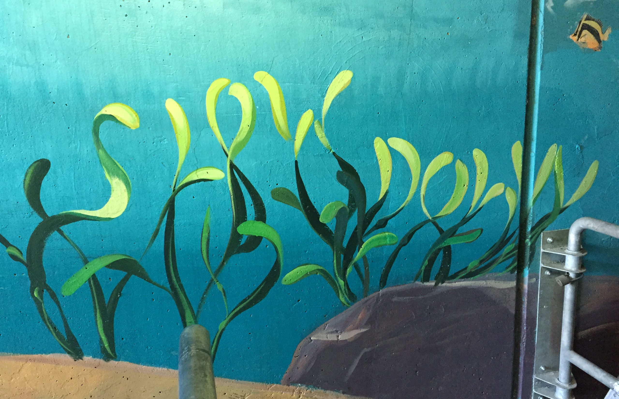 Kelp mural in California