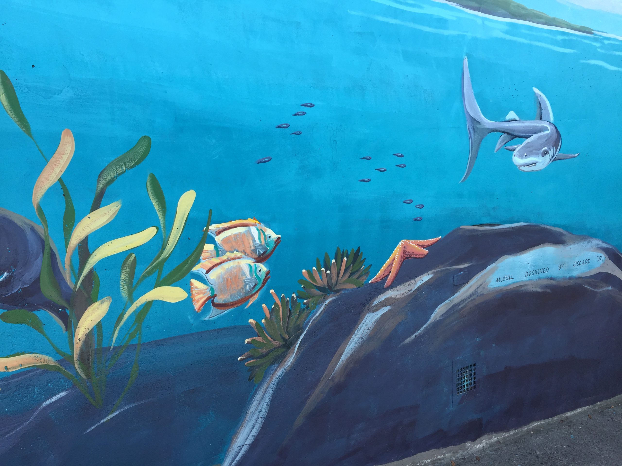 Handpainted Bay Area mural with ocean scene by Muralist Morgan Bricca