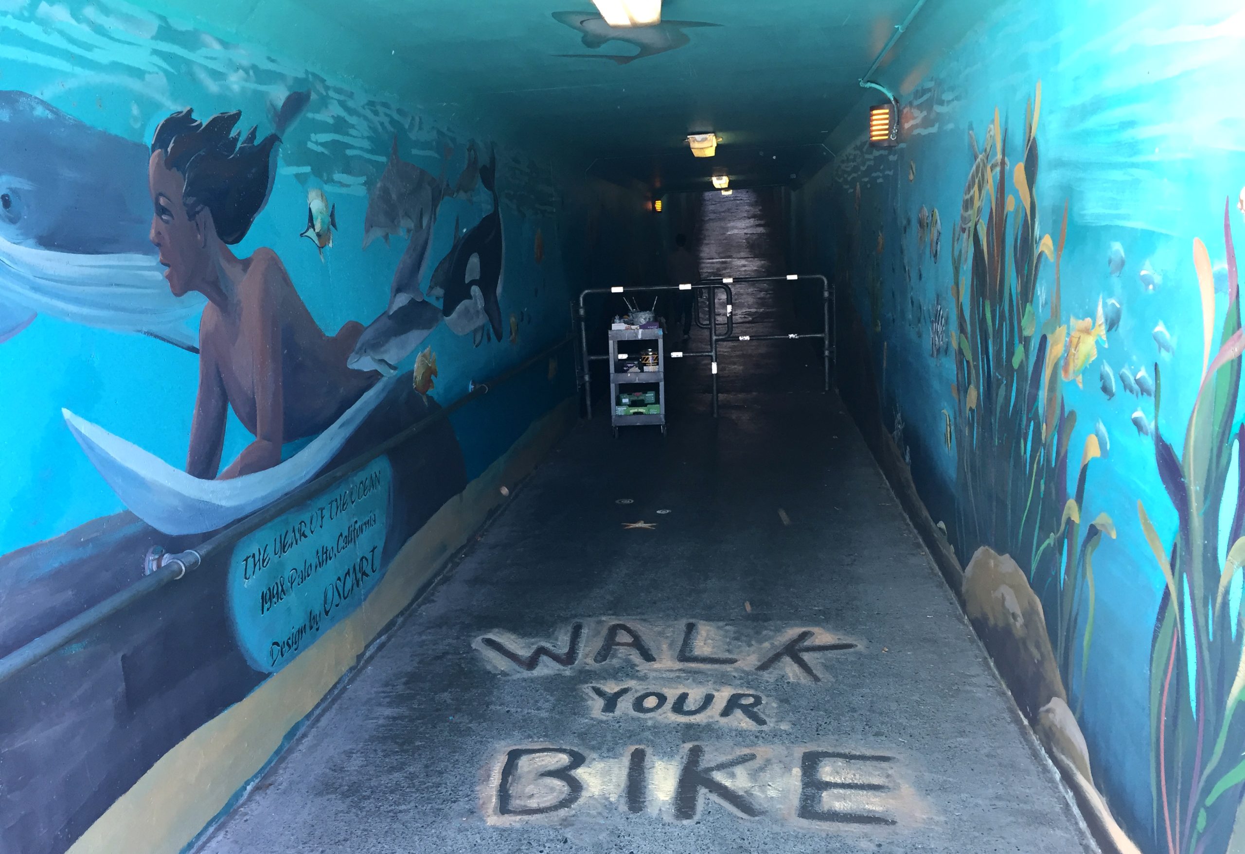 Underwater ocean mural in California underpass tunnel