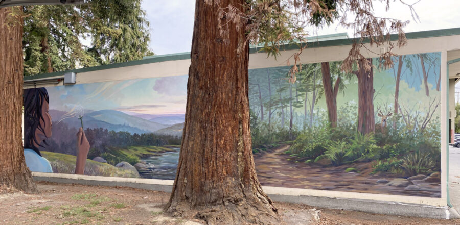 Girl Blowing Dandelion Fluff Mural Beside Northern California Redwood Trees