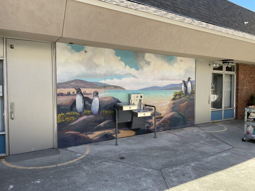 Galapagos Penguin mural scene