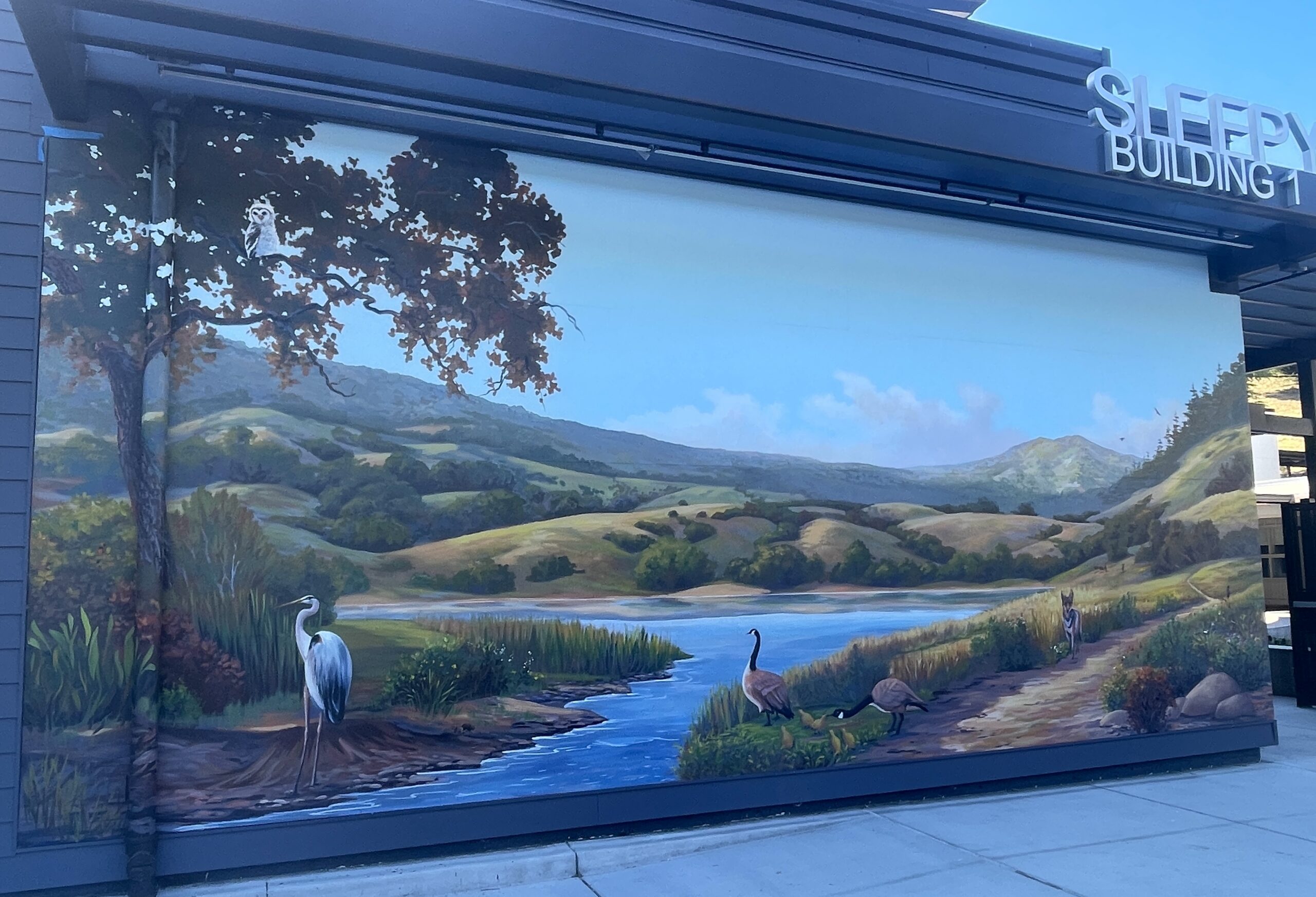 Residential Mural in Burligame, CA