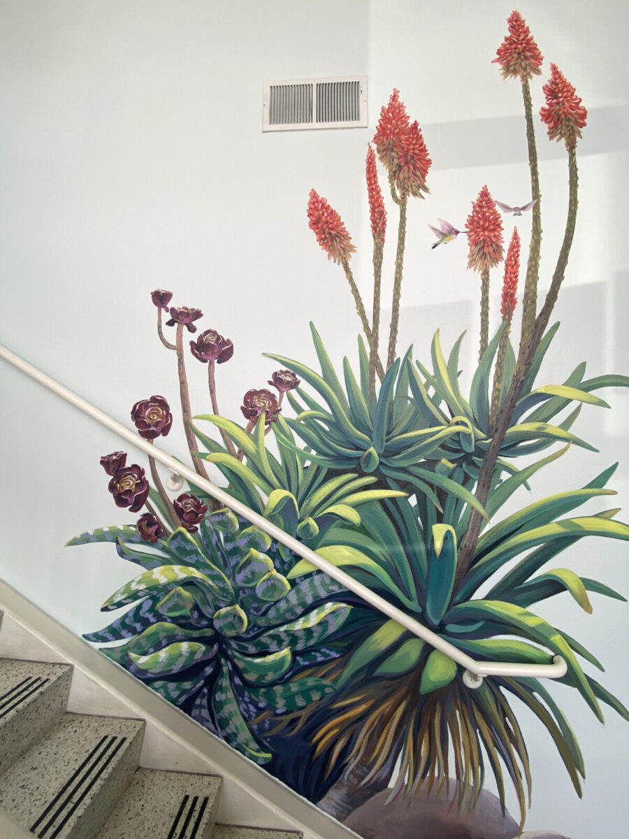 Succulent Mural Red hot poker, torch lily, torch flower, African flame flower, Devil's poker